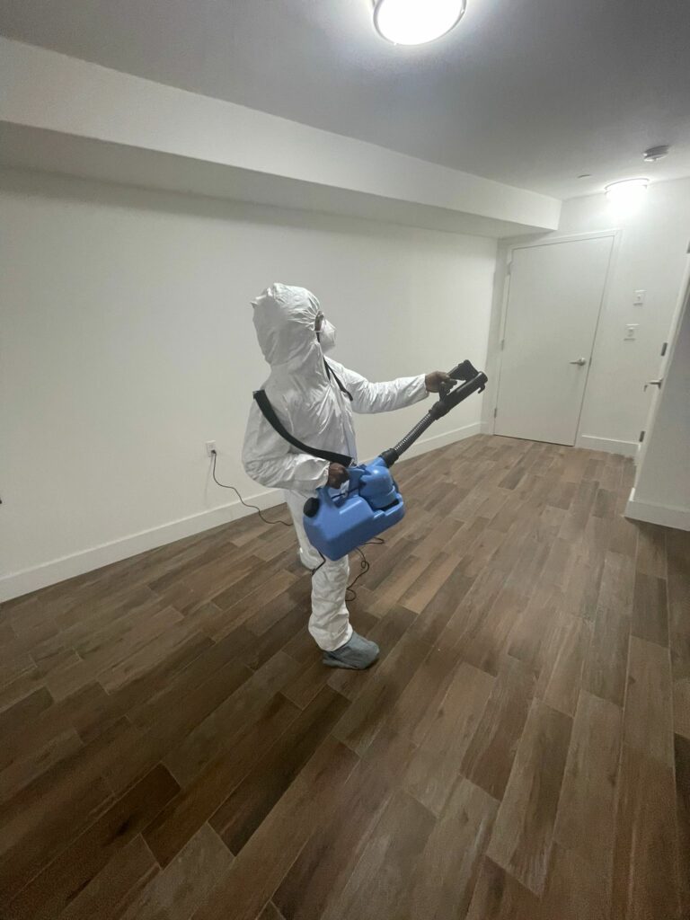Mold Removal vs Mold Remediation
