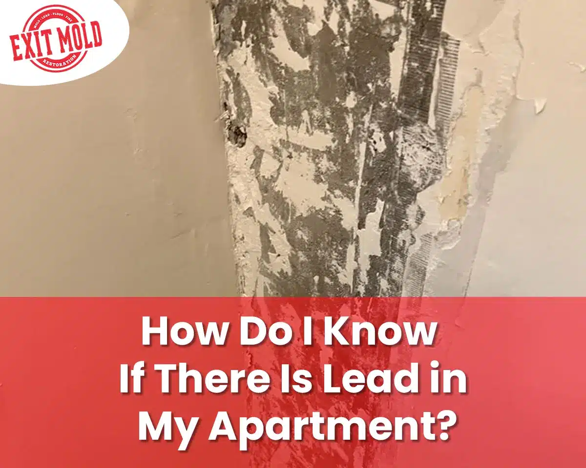 How Do I Know If There Is Lead in My Apartment