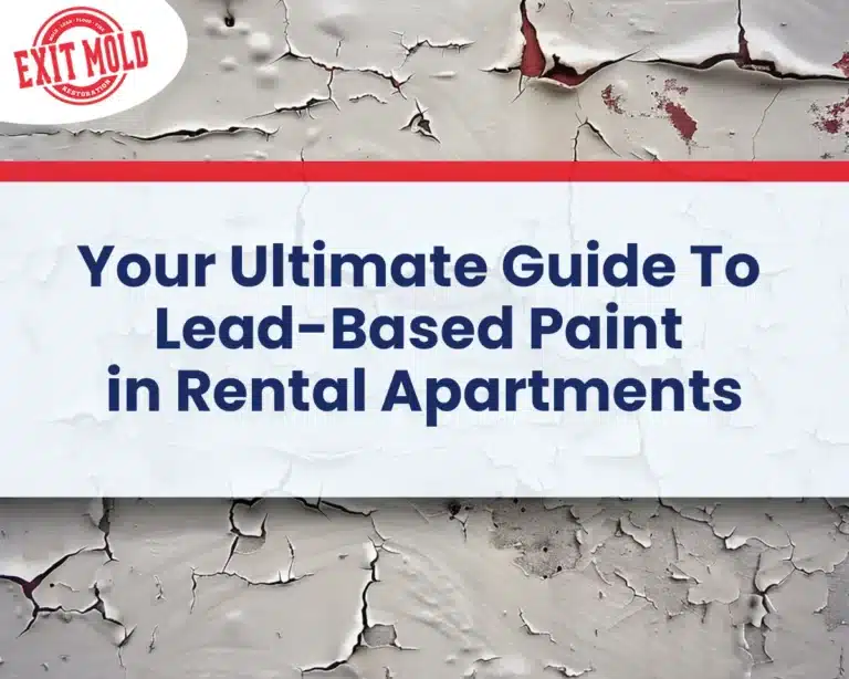 Image showcasing Apartment Painting Guide | How Much It Costs To Paint ... - Improovy