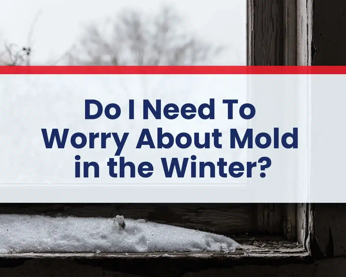 Do I Need To Worry About Mold in the Winter