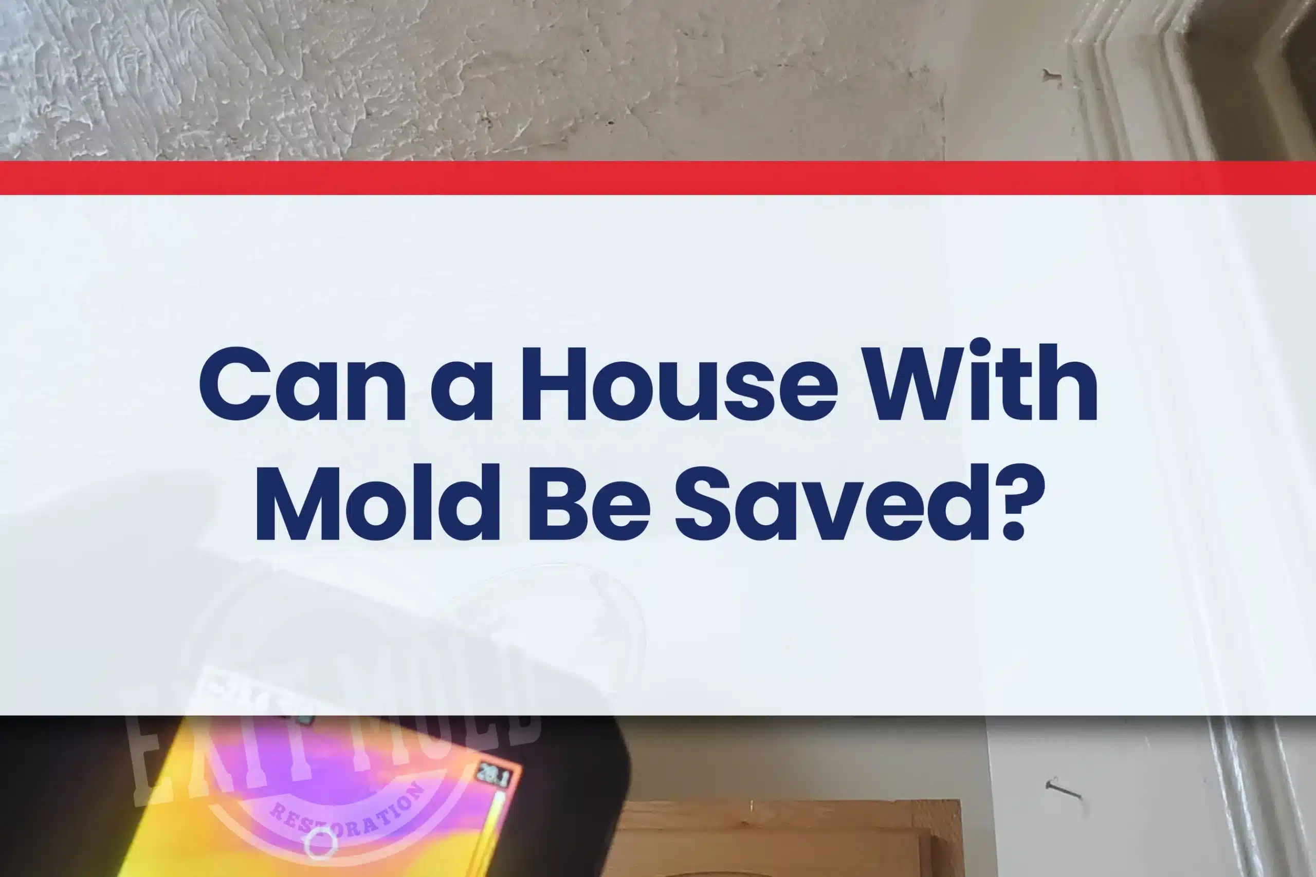 Can a House With Mold Be Saved