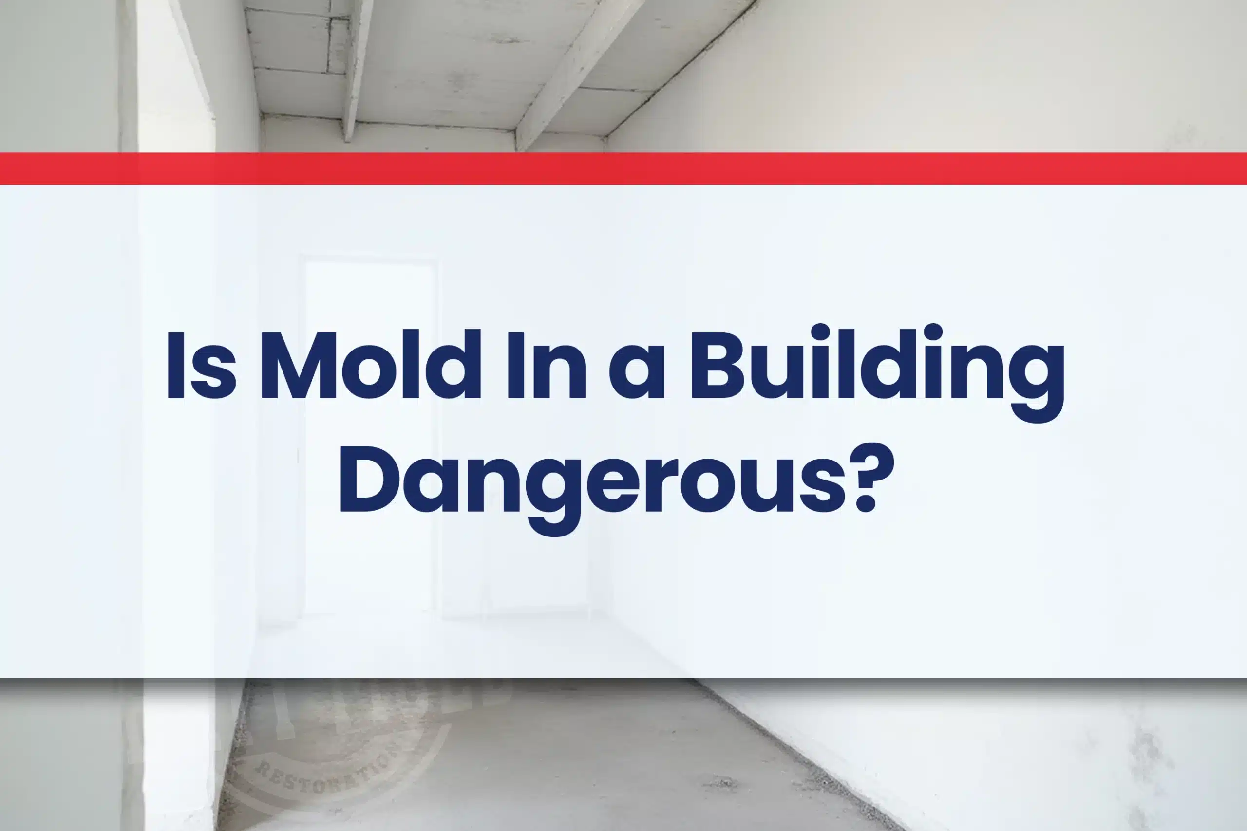 Is Mold In a Building Dangerous