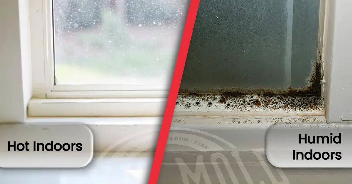 Does Mold Get Worse in the Summer (featured)