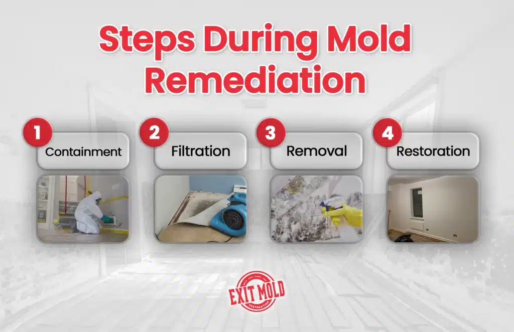 What Is Mold Remediation? | Exit Mold Complete Guide