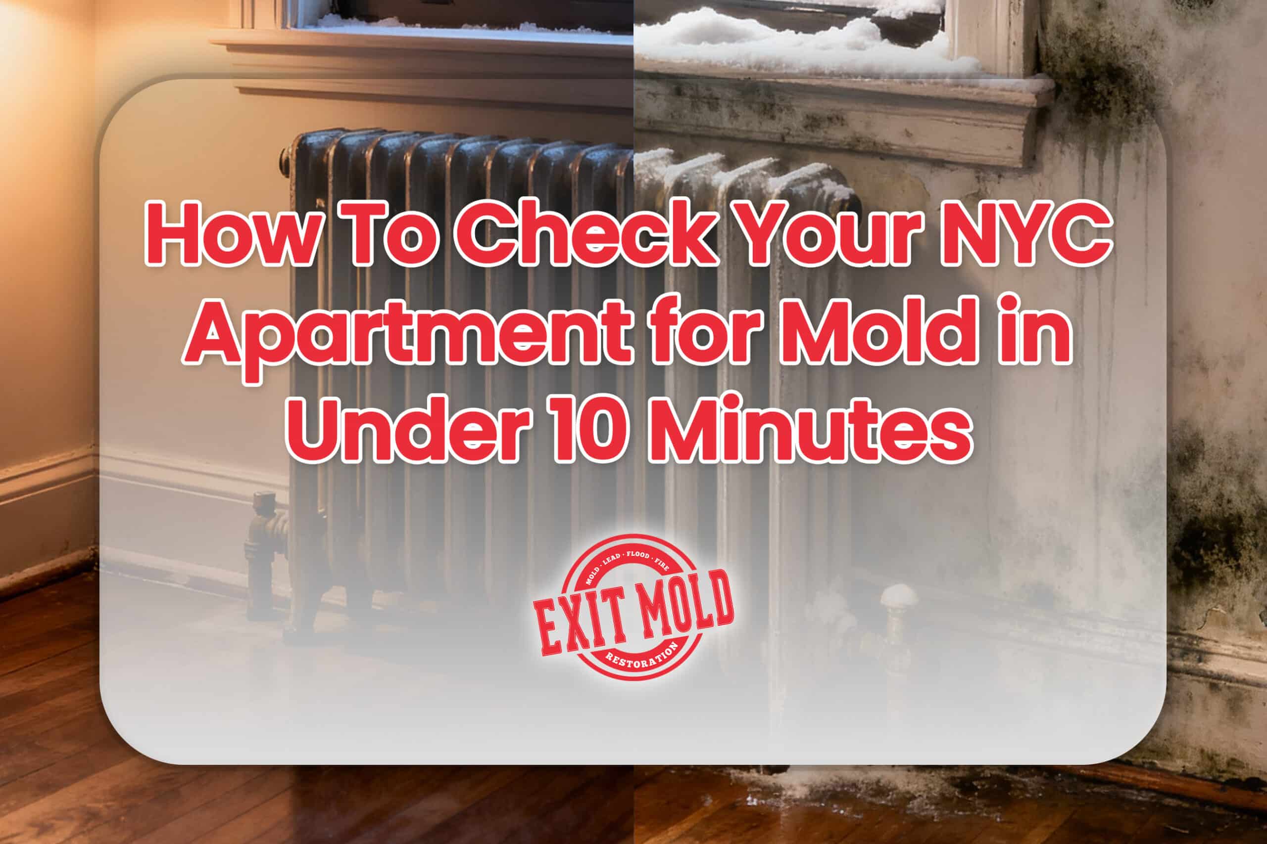 How To Check Your NYC Apartment for Mold in Under 10 Minutes