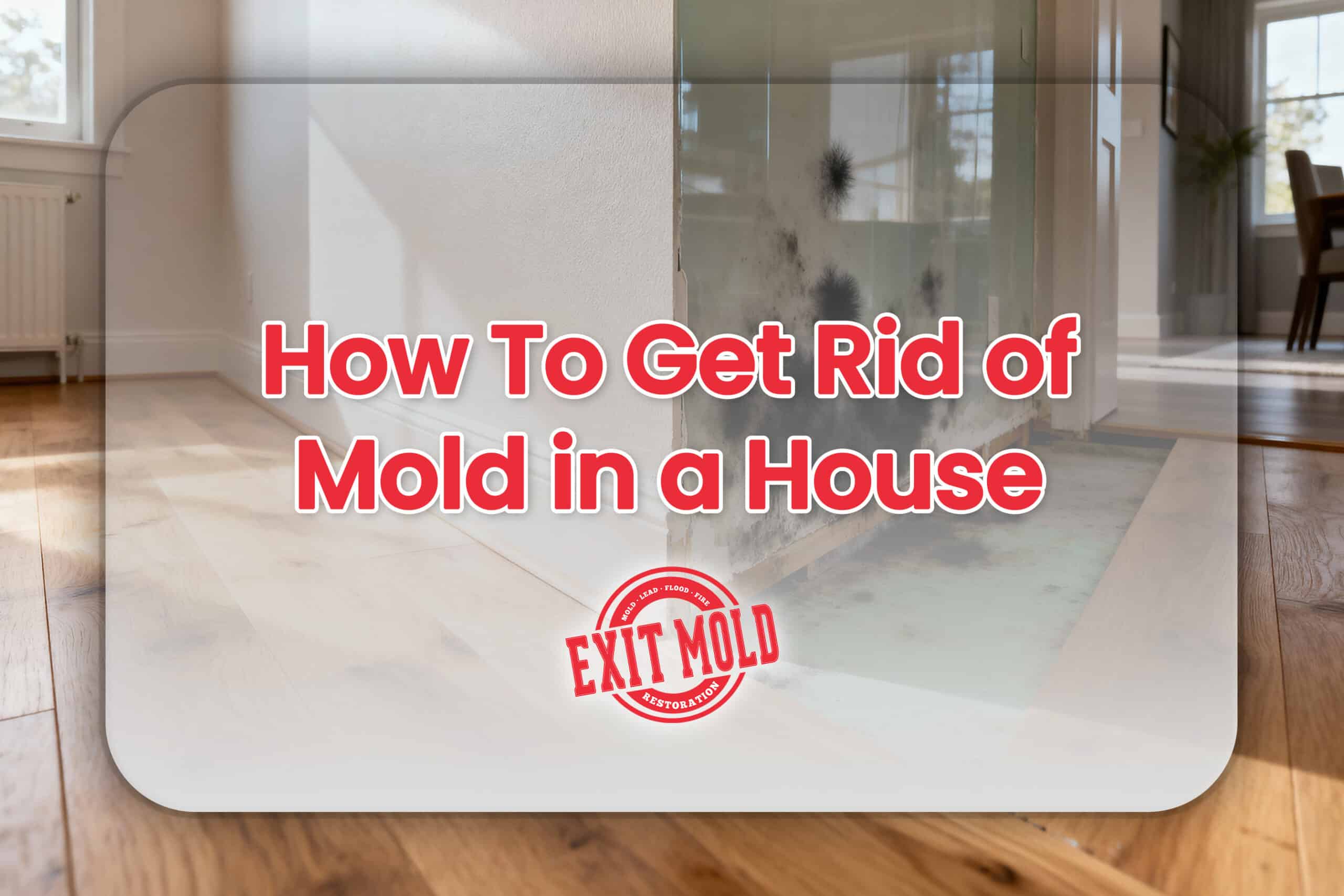 How To Get Rid of Mold in a House