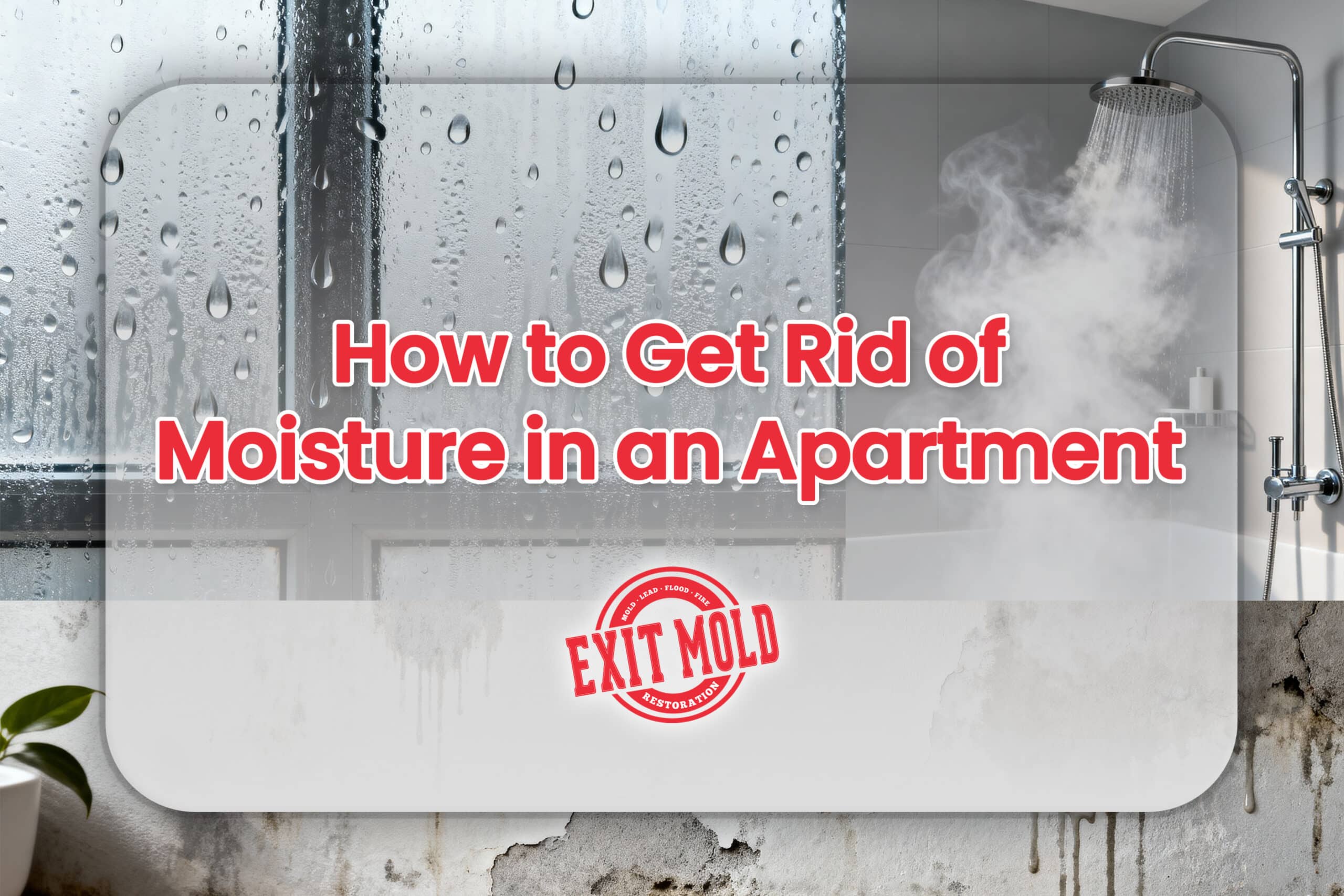 How to Get Rid of Moisture in an Apartment