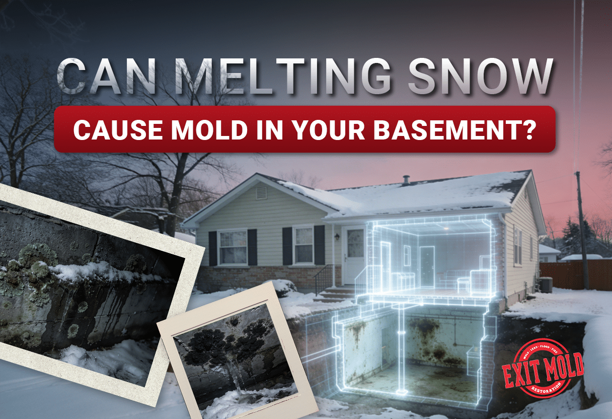 Can Melting Snow Cause Mold in Your Basement?