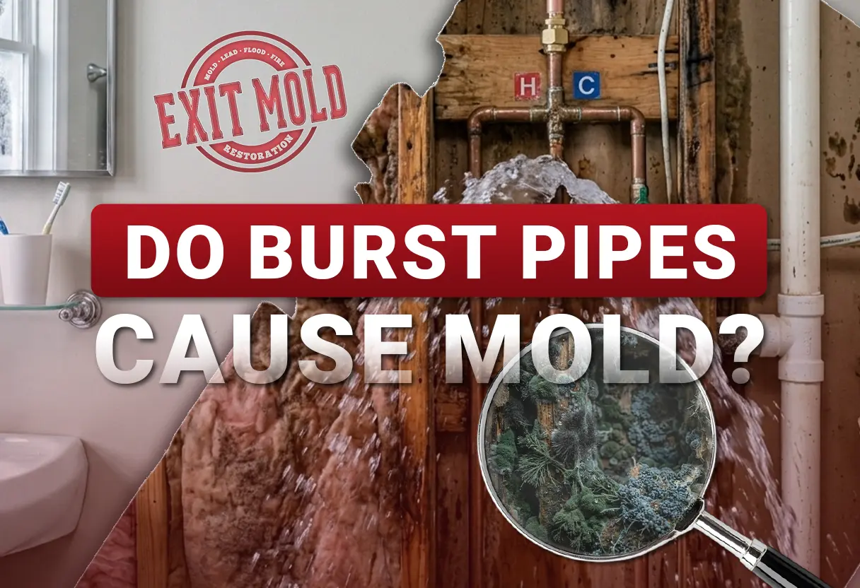 Do Burst Pipes Cause Mold